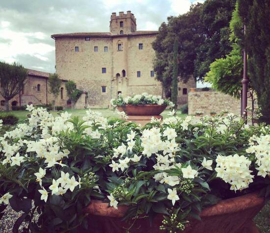 Residence Castel Porrona