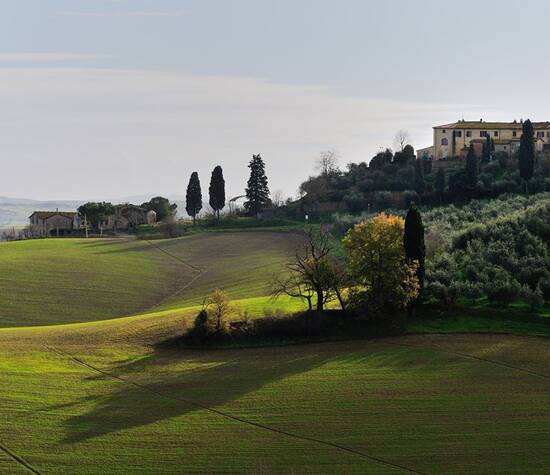 Agriturismo Bellavista Toscana