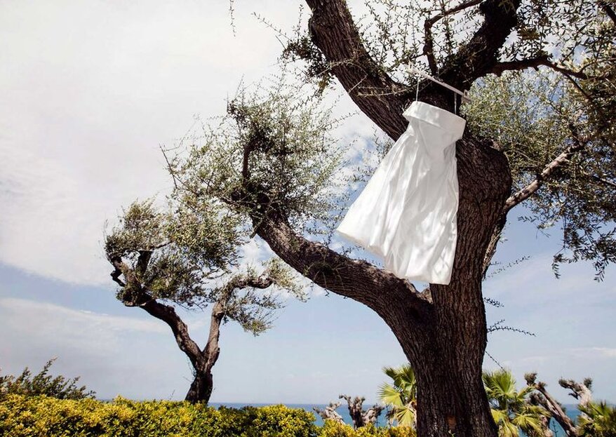 Il significato dell'ulivo nel matrimonio: ispirazione mediterranea per le tue nozze