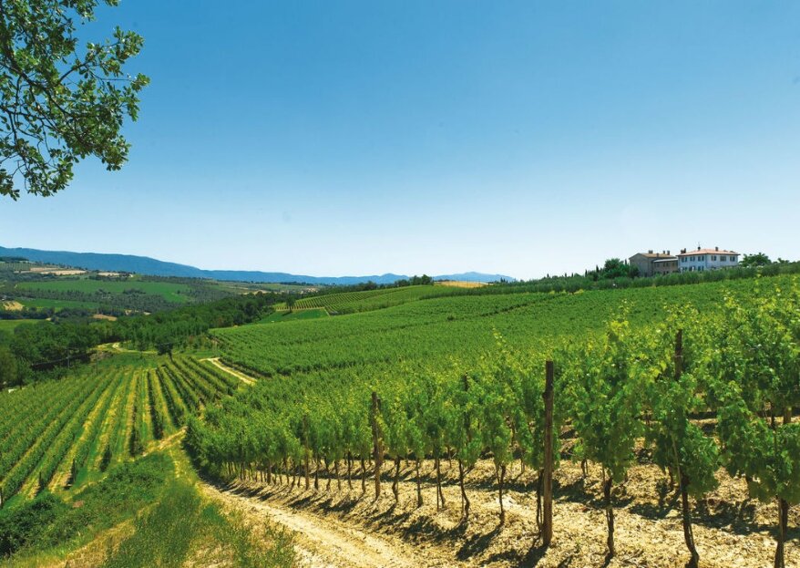 Roccafiore Wine Resort &amp; Spa, immerso tra le vigne e gli uliveti umbri, un perfetto mix tra natura ed eleganza