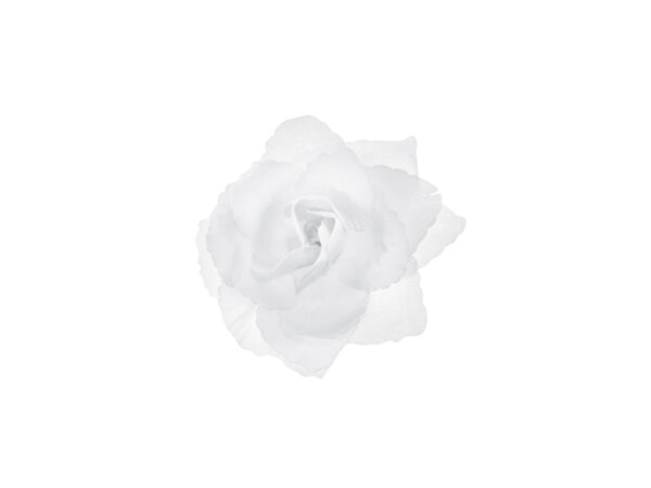 Addobbi Matrimonio Rose bianche per la decorazione del matrimonio: 24 pezzi.