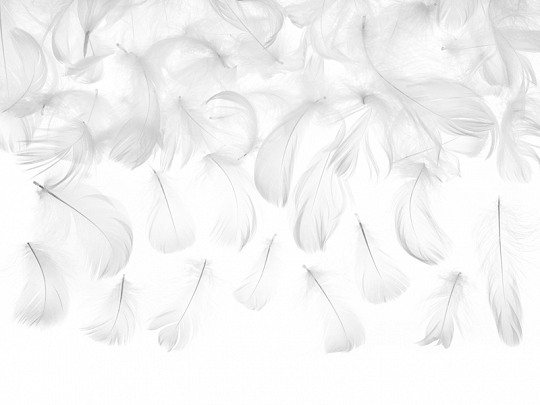 Accessori Addio al Nubilato Piume decorative Bianco